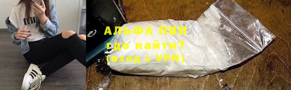 стаф Арсеньев