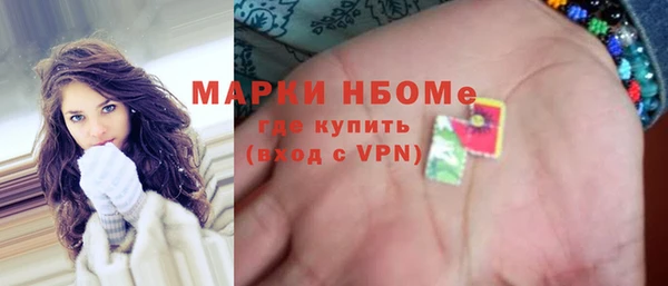 стаф Арсеньев