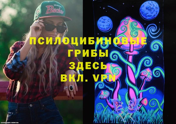 стаф Арсеньев